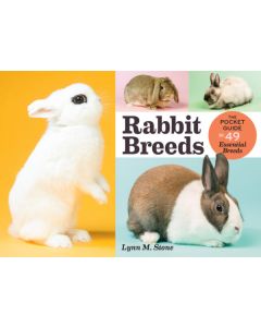 Rabbits Breeds