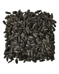 Rabbitsnax Black Oil Sunflower Seed, 6 oz.