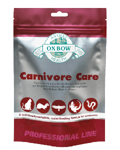 Carnivore Premium Care Recovery Food