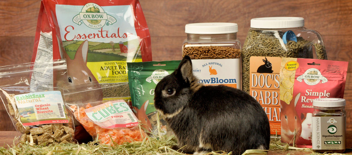 pet rabbit supplies