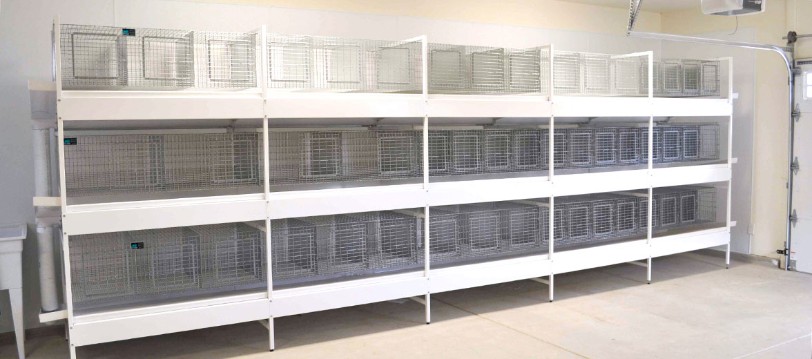 KW Cages Store - Rabbit Cages - Rabbit 